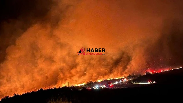 Milas'taki orman yangınına müdahale sürüyor