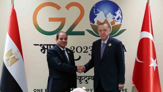 Mısır'dan Erdoğan ve Sisi görüşmesine ilişkin açıklama