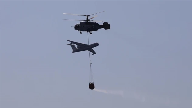 Türk Silahlı Kuvvetlerimize ait 4 uçak ve 25 helikopter ile  orman söndürmede katkı  sağlanmıştır.