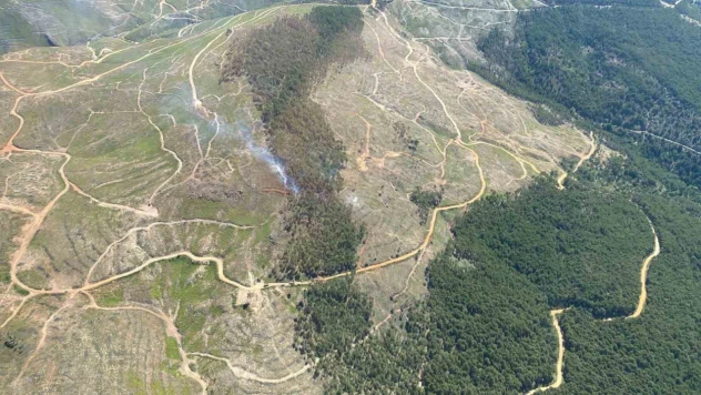 Muğla'daki orman yangını kontrol altına alındı