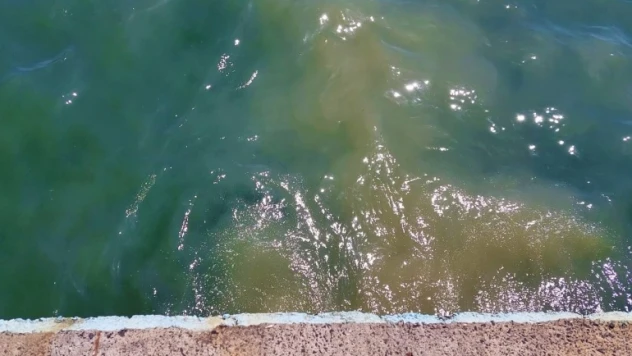 Müsilaj ve imara ilişkin düzenlemeler içeren teklif, komisyonda kabul edildi