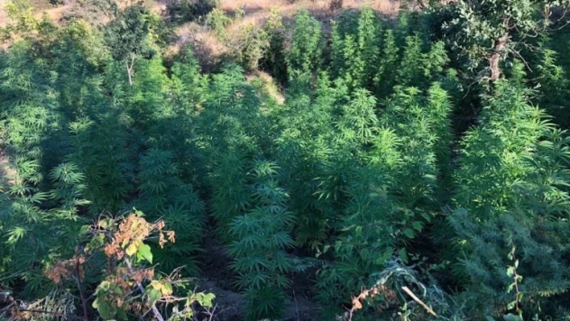 Narko Terör Operasyonu başlatıldı