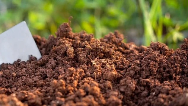 New York'ta cesetlerin gübreye dönüştürülmesine onay