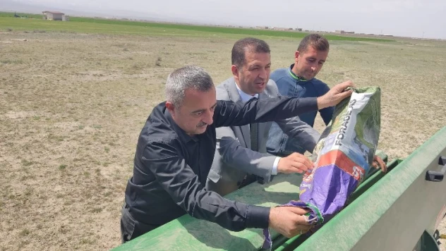 Niğde'de mera alanları yeşerecek