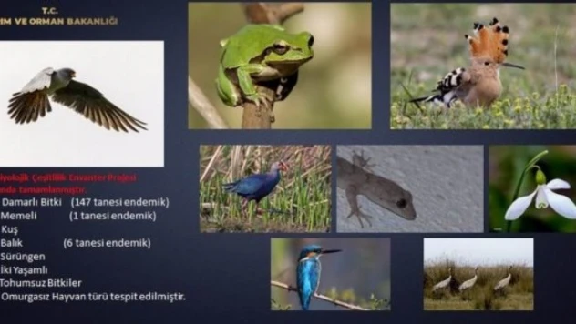 Öğrencilere 'biyoçeşitlilik' eğitimi verildi