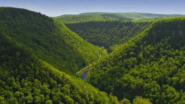 Orman Kanunu'na ilişkin teklif Tarım Komisyonunda kabul edildi