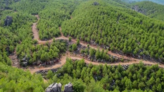 Orman Kanunu'nda değişiklik yapılması kabul edildi