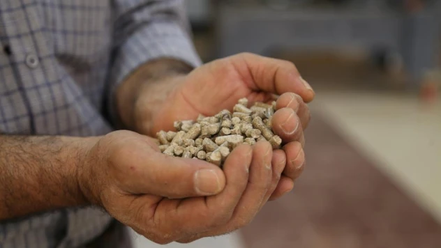 Orman ürünleri ziyan olmasın diye pelet fabrikası kurdu