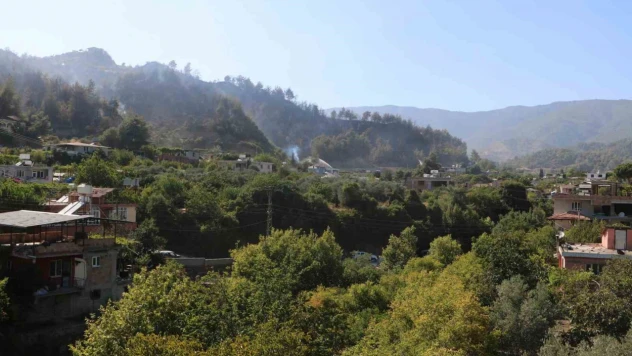 Orman yangını kontrol altına alındı