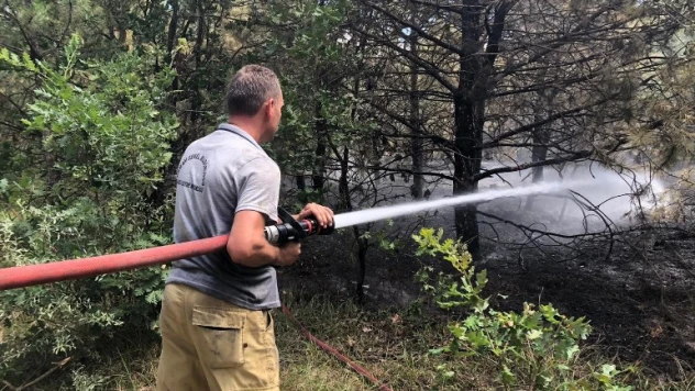 Orman yangınına müdahale ediliyor