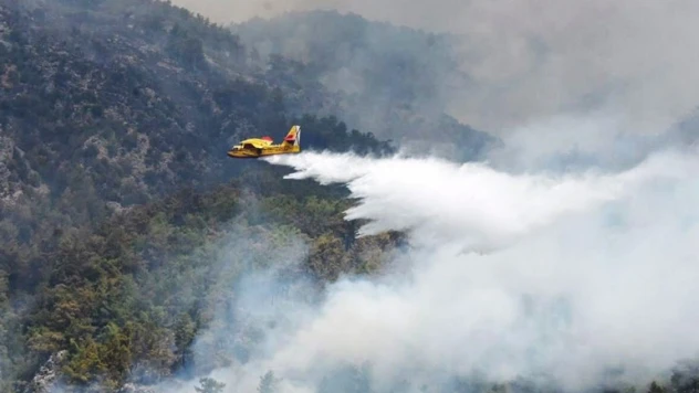 'Orman yangınlarının yüzde 87'si insan kaynaklı'