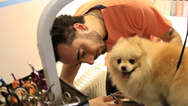 Petshop yasağı kararı veteriner hekimleri sevindirdi