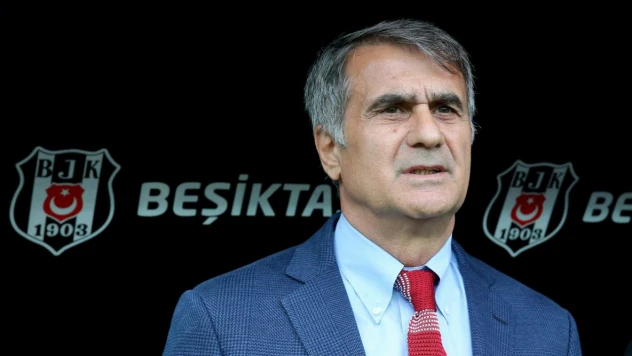 PFDK, Şenol Güneş'e para cezası verdi