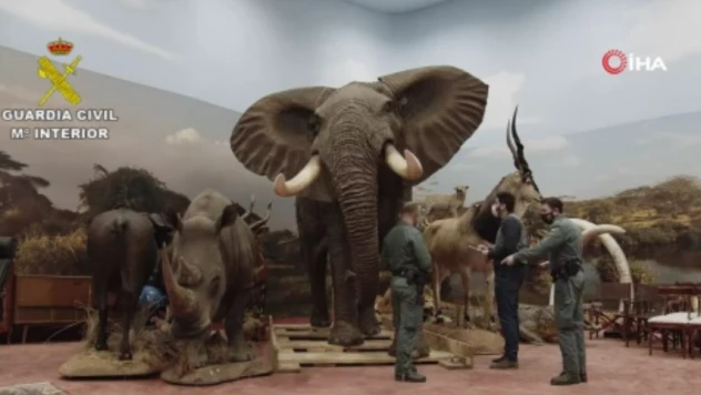 Piyasa değeri 29 milyon euro olan binden fazla dondurulmuş hayvan ele geçirildi