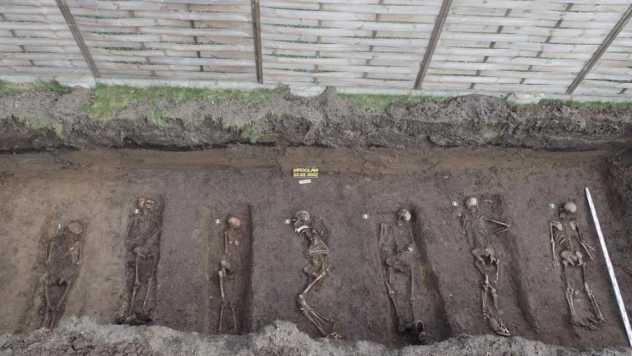 Polonya'da 128 kişilik toplu mezar bulundu