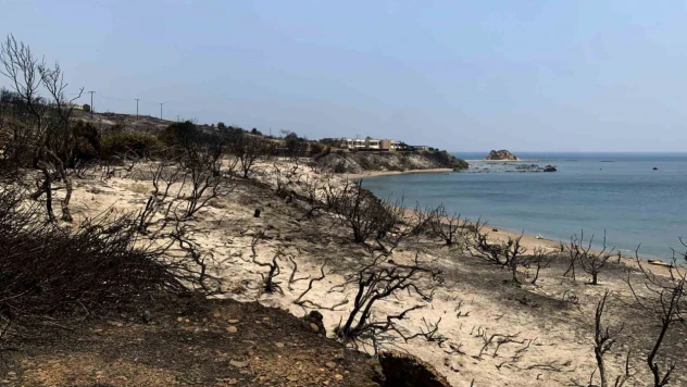 Rodos'taki orman yangını 6 gündür devam ediyor: 19 bin kişi tahliye edildi