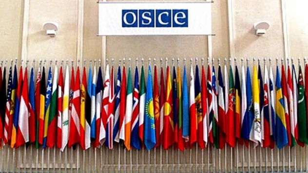 Rusya, 21 Şubat'ta AGİT üyeliğini oylayacak