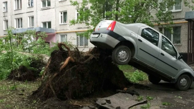 Rusya'da şiddetli fırtına: 8 ölü, 76 yaralı