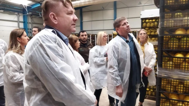 Rusya heyeti Adana'daki narenciye tesislerini inceledi