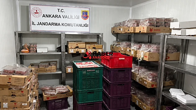 Sağlığı tehdit eden 40 ton et ele geçirildi