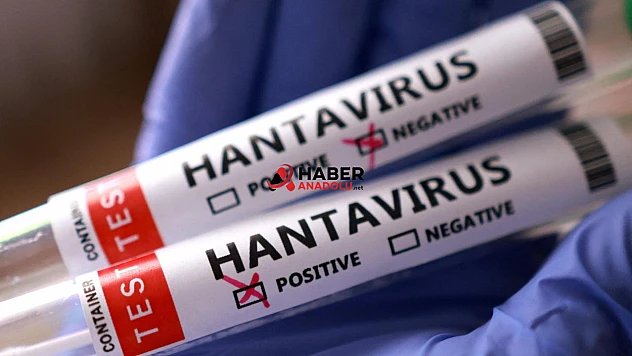 Sağlık Bakanlığı'ndan 'hantavirüs' açıklaması