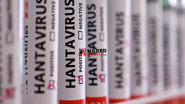 Sağlık Bakanlığından 'hantavirüs' açıklaması