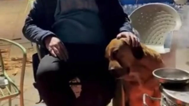 Sahibini depremde kaybeden köpeğin görüntüleri izleyenleri şaşırttı