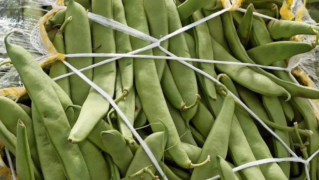 Satış fiyatı 6-7 TL'ye düşen fasulye bu kez üreticisini üzdü