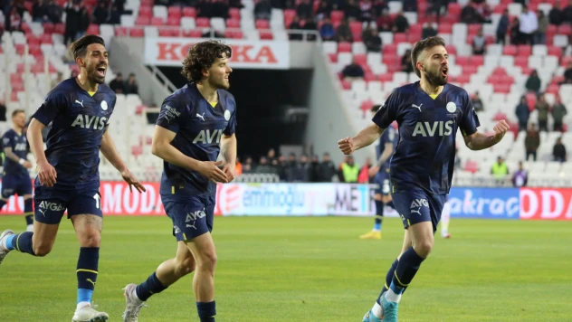 Spor Toto Süper Lig: DG Sivasspor: 1 - Fenerbahçe: 3 Maç sonucu