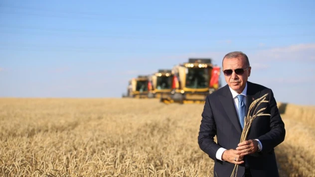 Tahıl koridorunda sevkiyat yeniden başladı