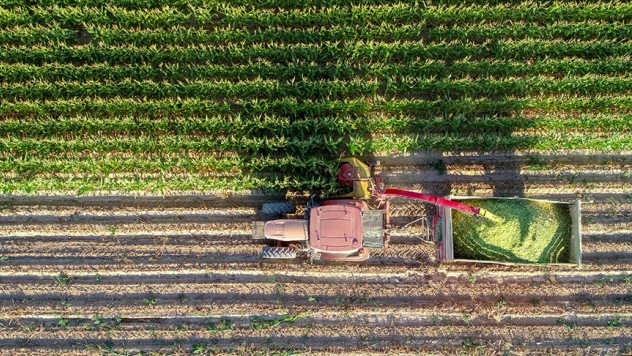 Tahıllar ve diğer bitkisel ürünler ile meyveler bir önceki yıla göre arttı