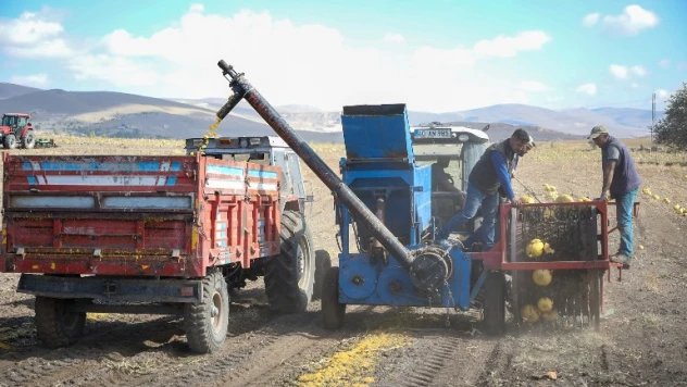 Talas'ta yemek posaları yeme dönüşüyor