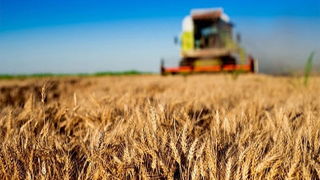 Tarım-GFE yıllık yüzde 103,14 arttı