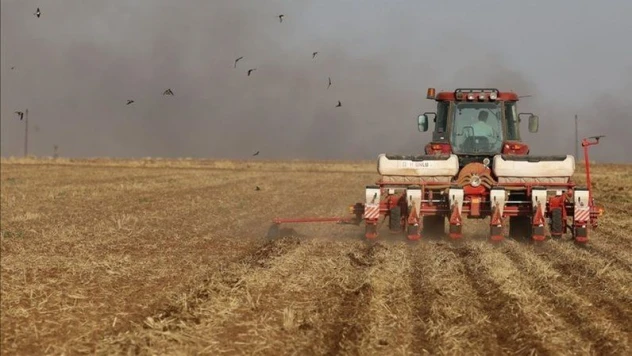 Tarım-GFE yıllık yüzde 95,99 arttı