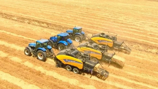 Tarım-ÜFE yıllık yüzde 142,42 arttı