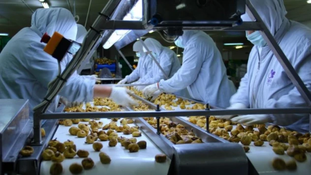 TARİŞ kuru incir fiyatları belli oldu