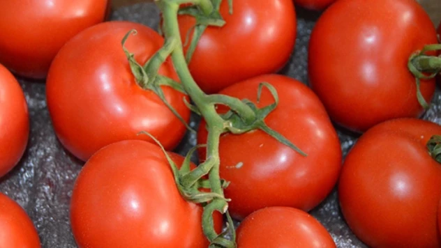 Ticaret Bakanlığı'ndan domates ihracatının kısıtlandığı iddiasına yalanlama