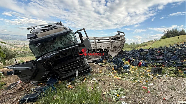 Tır viyadükten düştü: 3 ölü, 3 yaralı
