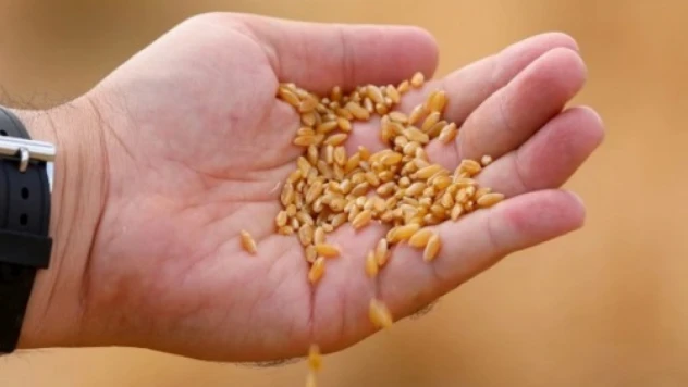 TMO: 'Hububat alımlarımız yoğun şekilde devam ediyor'