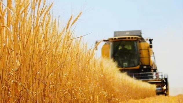 TMO alım pirimi desteğine ilişkin karar Resmi Gazete'de yayımlandı