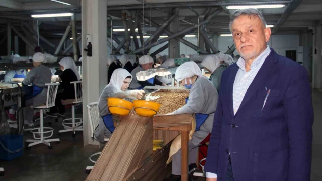 TMO'nun fındık satış kararı, serbest piyasa fiyatlarını tescilledi