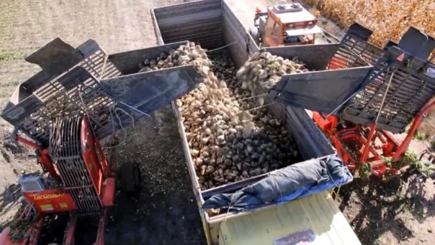 Türkiye'de ne şeker ne de pirinç krizi var