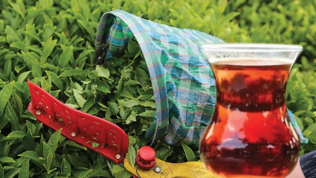 Türkiye'den yurt dışına 25 milyon 388 bin dolarlık çay ihracatı