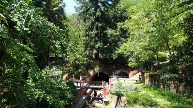 Türkiye'nin ilk ağaç müzesi ziyaretçilerini mest ediyor