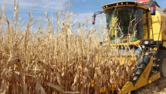 Türkiye'nin tarımda önceliği stratejik ürünlerdir