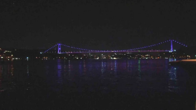 Ukrayna tahılını taşıyan Resilient Africa isimli gemi İstanbul Boğazı'nda