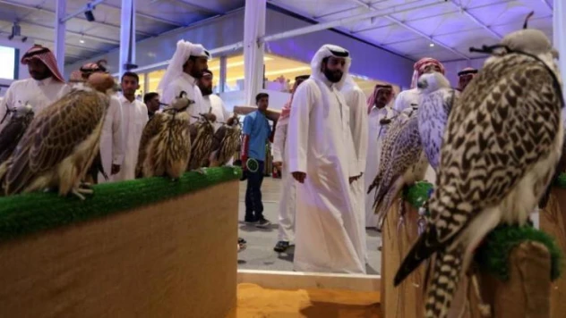 Uluslararası Suudi Şahin ve Avcılık Fuarı kapılarını açmaya hazırlanıyor