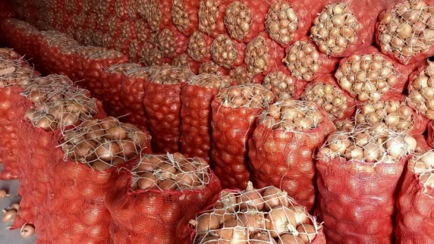 Üreticilerin elinde kalan soğanlar depolarda çürüyor