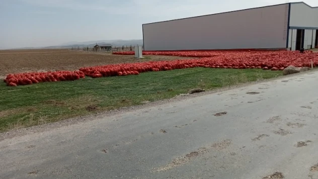 Ürünleri depolarda çürüyen çiftçilerin tek umudu Hal yasası