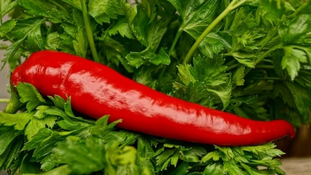 Uzmanından kış mevsiminde kırmızı biber tüketimi çağrısı